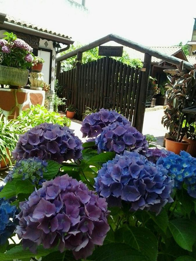 Cabanas Valle Verde Moya  Εξωτερικό φωτογραφία
