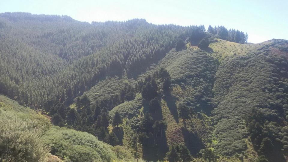 Cabanas Valle Verde Moya  Εξωτερικό φωτογραφία