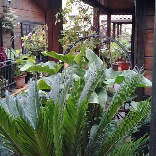 Cabanas Valle Verde Moya  Εξωτερικό φωτογραφία