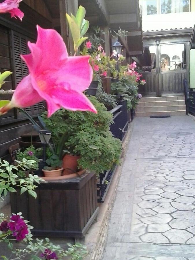 Cabanas Valle Verde Moya  Εξωτερικό φωτογραφία